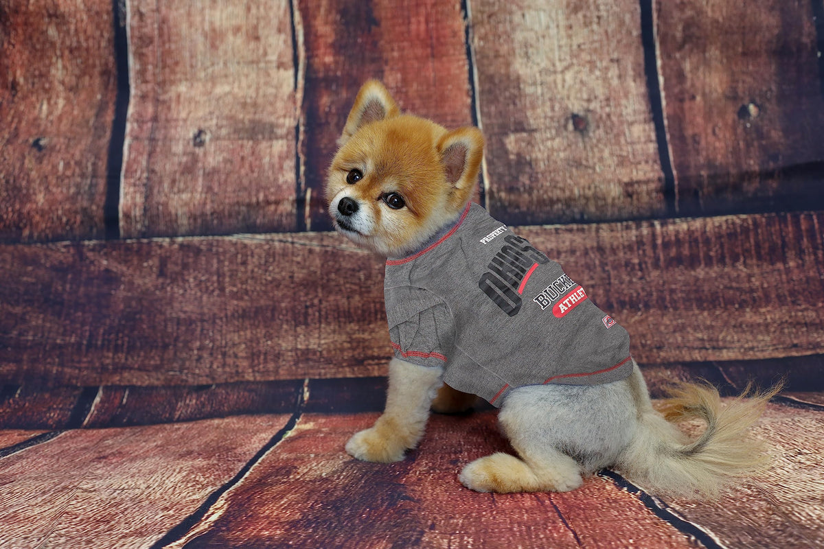 Collegiate OHIO STATE BUCKEYES Dog T (Ohio State Buckeyes / X-Small)