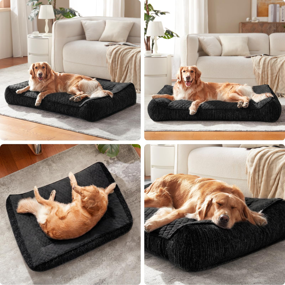 XL Orthopedic Dog Bed for Large Dogs (XL Plus(45"L x 32"W x 9.5"Th) / Black)