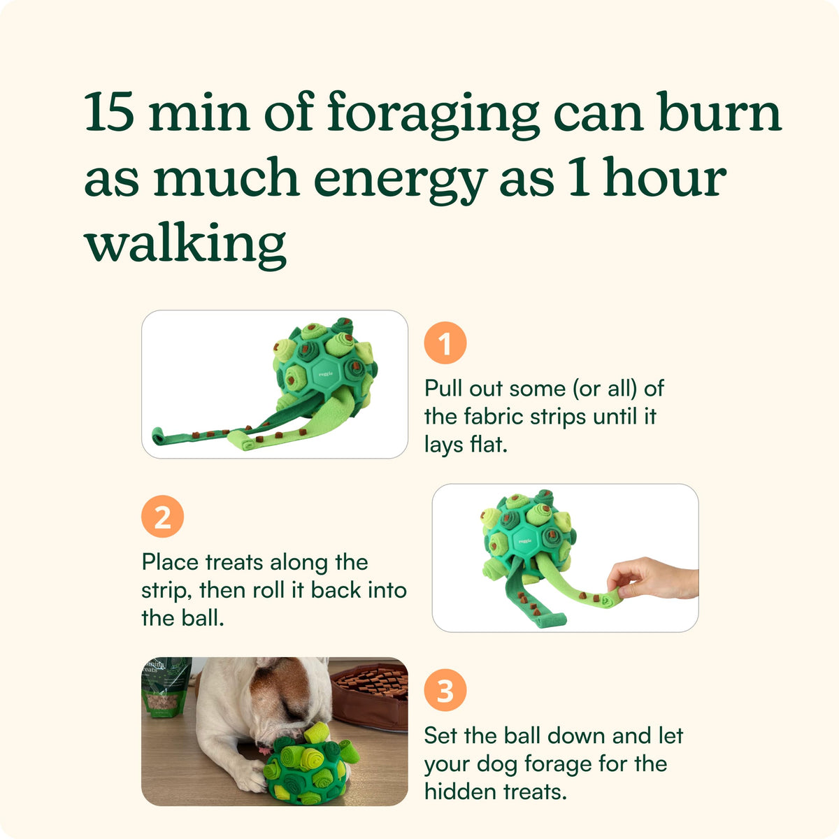 Dog Training Treats with Enrichment Toy (Forager Ball - Turkey & Pumpkin)