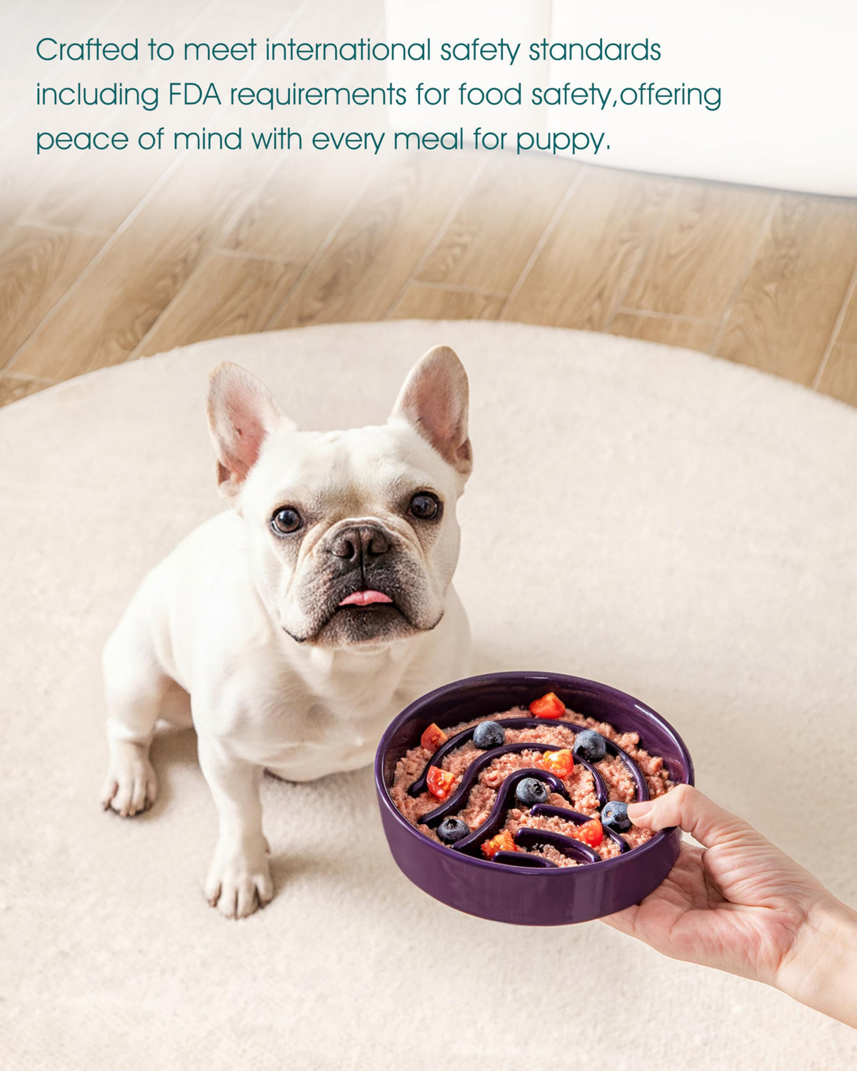 Slow Feeder Dog Bowl (Dark Purple / 0.6 Cups)