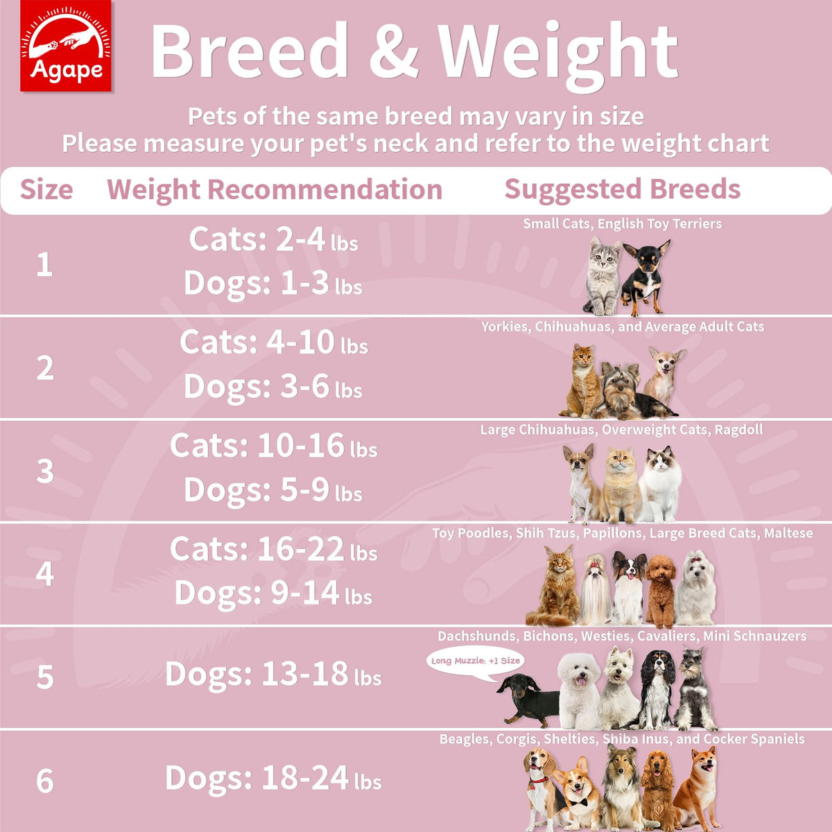 Soft Dog Cone for Small Dogs & Cats (Pink (Small Dogs Cone) / 2 (Neck:6.5"-8.5"))