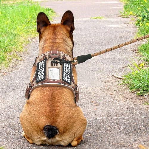 Tactical No Pull Dog Harness with Leash (Desert Camo / Small)