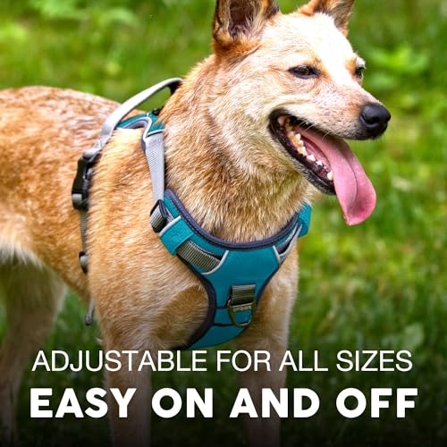 Embark No Pull Dog Harness (XS / Blue)