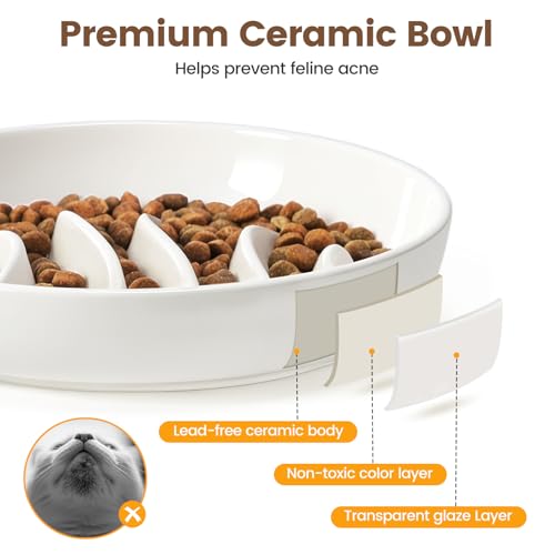 Slow Feeder Cat Bowl Elevated Ceramic with Bamboo Stand (Fishbone)