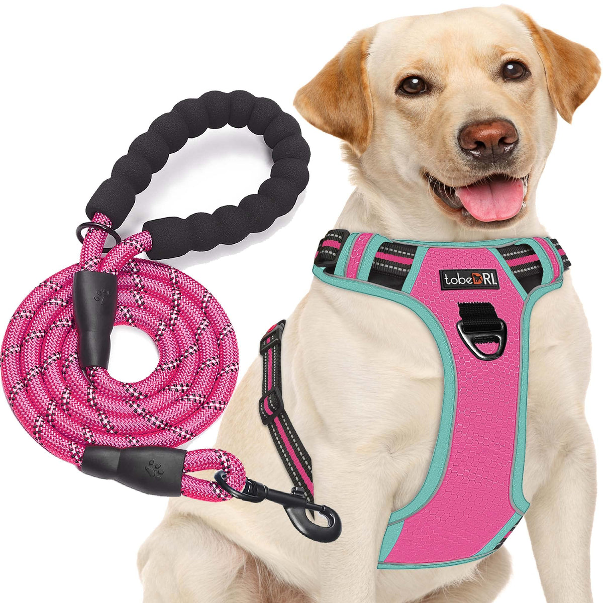 No Pull Dog Harness Adjustable Reflective Oxford Easy Control Medium Large Dog Harness with A Free Heavy Duty 5ft Dog Leash (Pink/Blue / Large)