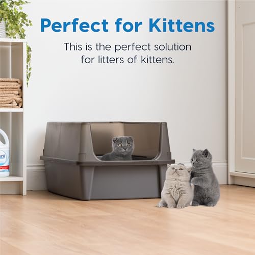 XX Large High Sided Cat Litter Box (XXL / Gray)