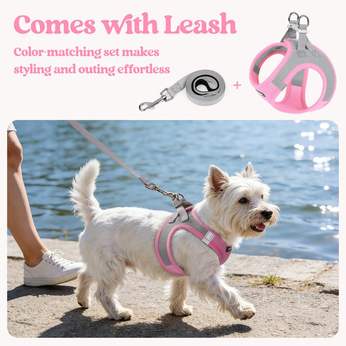Dog Harness Small Sized and Leash Set (Light Pink & Gray / Xs (chest: 13.3 - 15.5"))