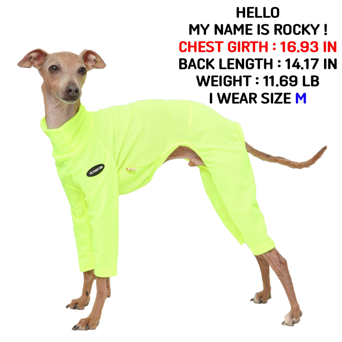 D Doggy Star Italian Greyhound Clothes Stretchy Neon Onesie Spring Summer (2XL / Onsi Ne Yellow)