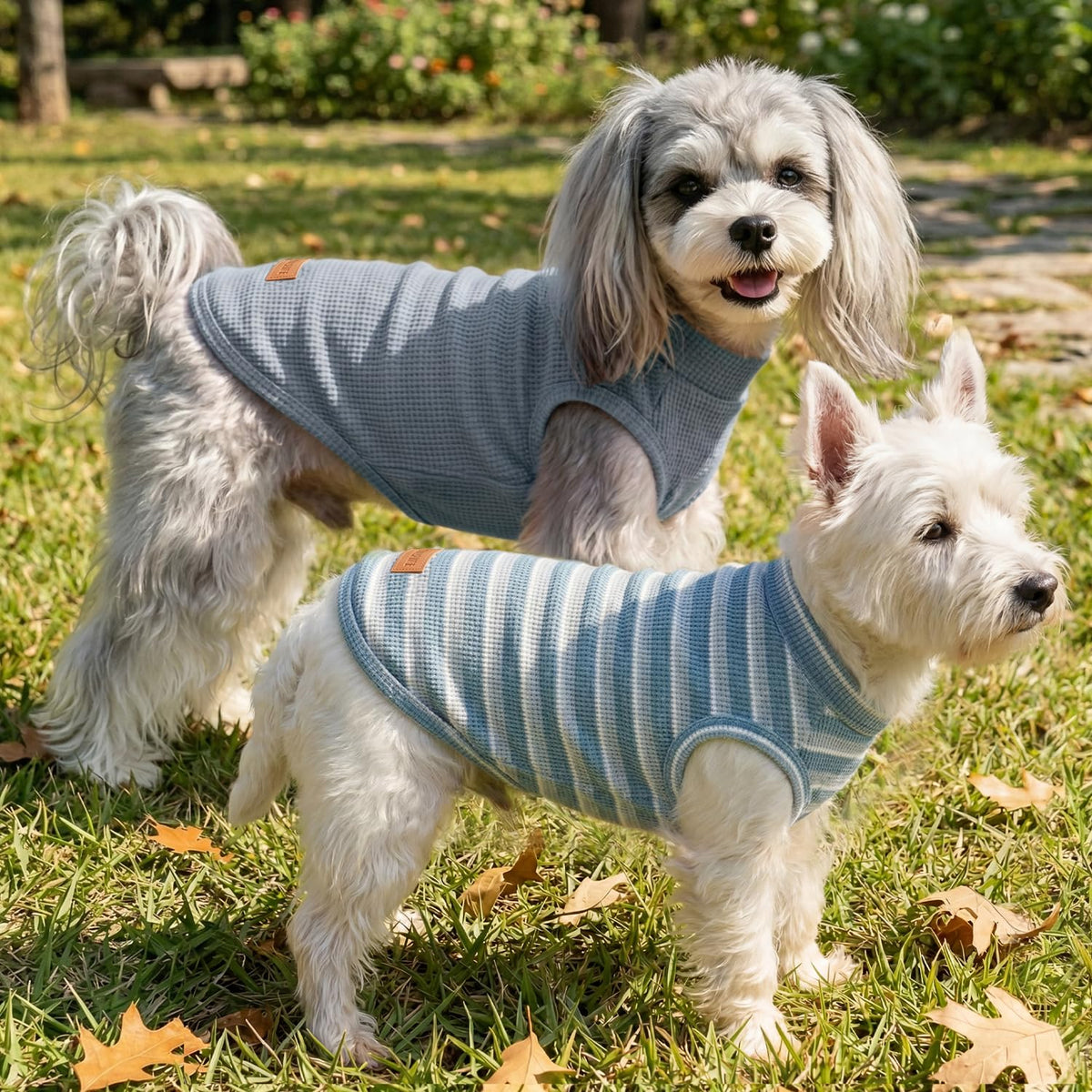 2Pack Dog Shirts Lightweight Waffle Dog Shirt for Small Dogs Sleeveless Dog Shirt for Small Medium Boy Girl Dogs Cozy & Breathable Pet Vest (M(Back: 13.8", Chest: 17.7", 8.8-13.2lbs) / Striped+Iron Blue)
