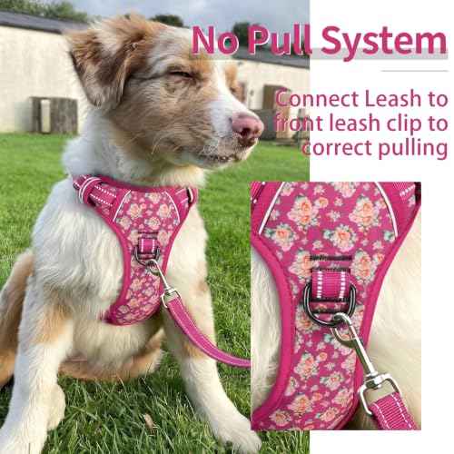 Dog Harness Reflective (M / Flower Rose)