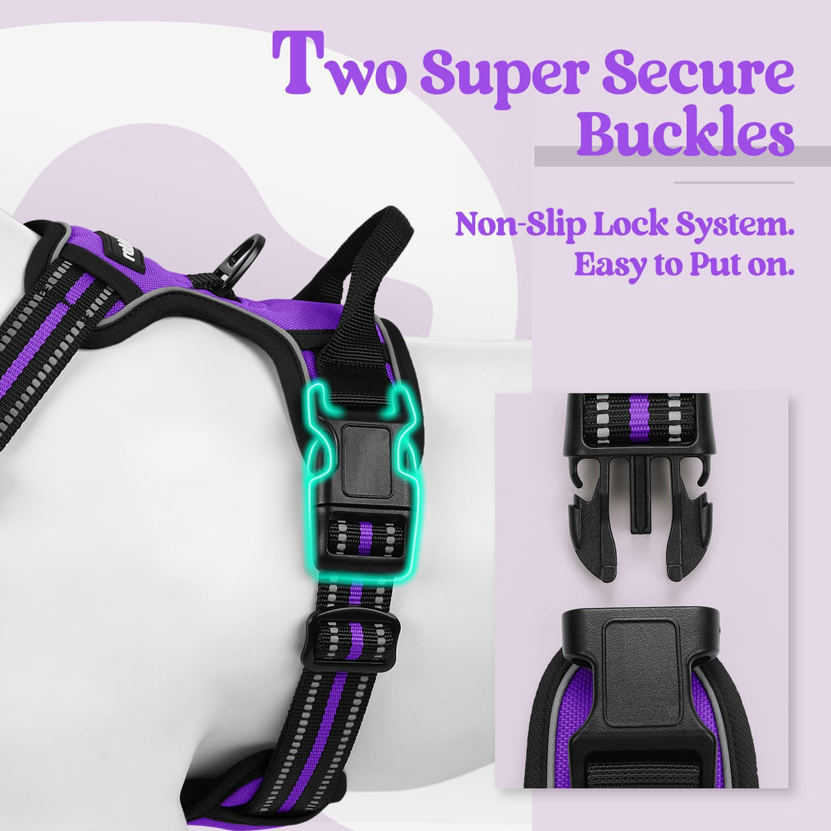 Dog Harness No Pull for Small Dogs with 2 Leash Clips (Small / Purple)