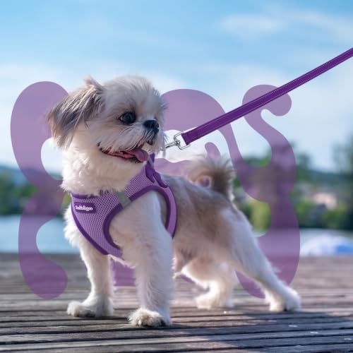 Dog Harness Small Sized and Leash Set (Light Purple & Purple / XS (Chest: 13.3"-15.5"))