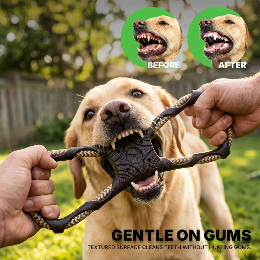Tug of War Dog Toy (Infinity Knot - Black)