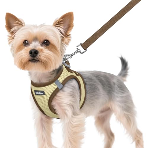Dog Harness Small Sized and Leash Set (Beige & Coffee / XS (Chest: 13.3"-15.5"))