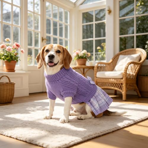 Small Dog Sweater Dress with Bowtie Turtleneck (Medium (8-14lbs) / Purple)
