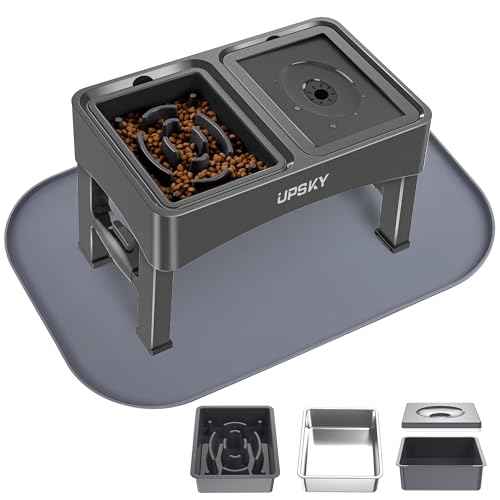 3-in-1 Elevated Dog Bowls Set with 4 Height Adjustable Stand and Mat (N-3 in 1 with Mat (Grey))
