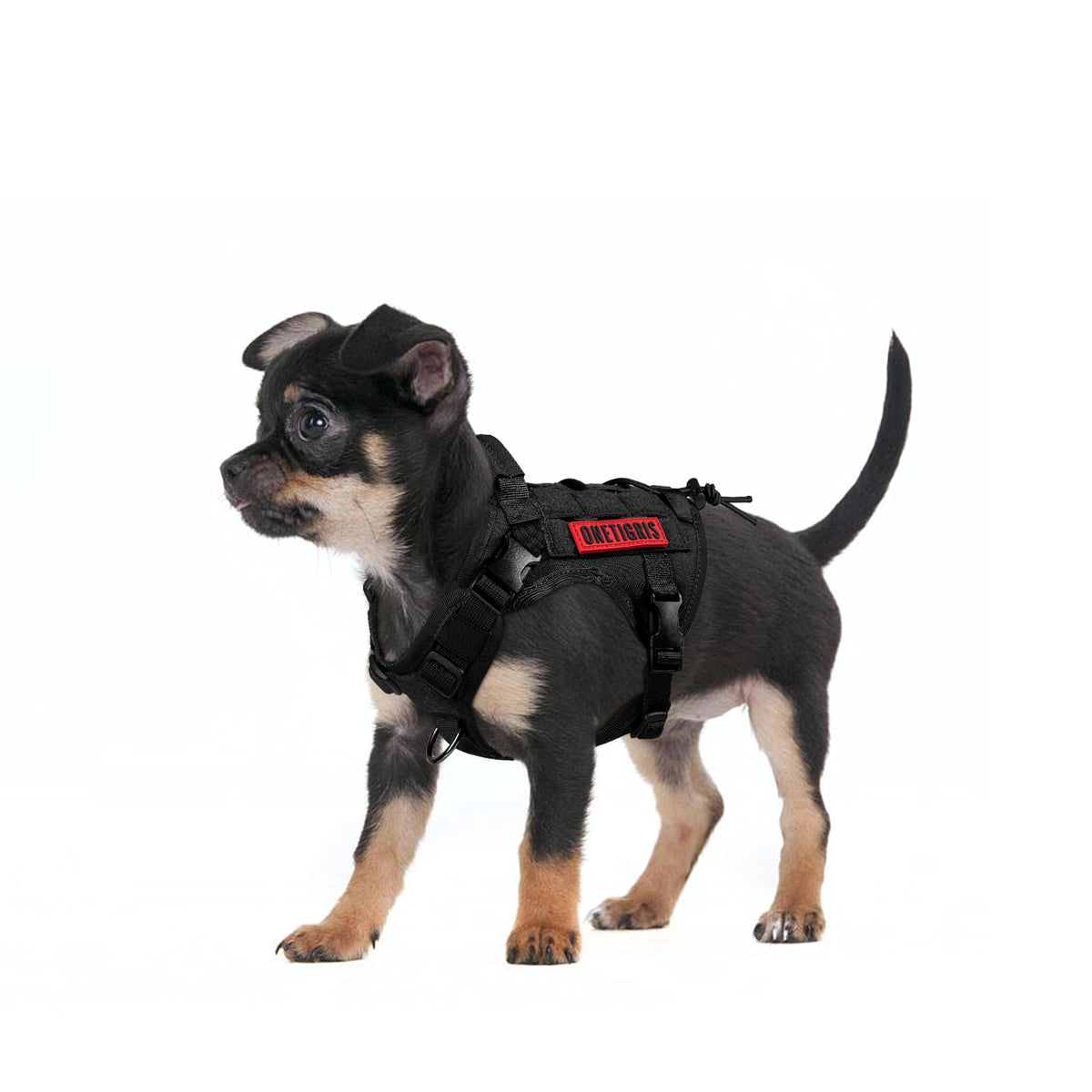 Tactical Dog Harness with Handle No (X-Small / Black)
