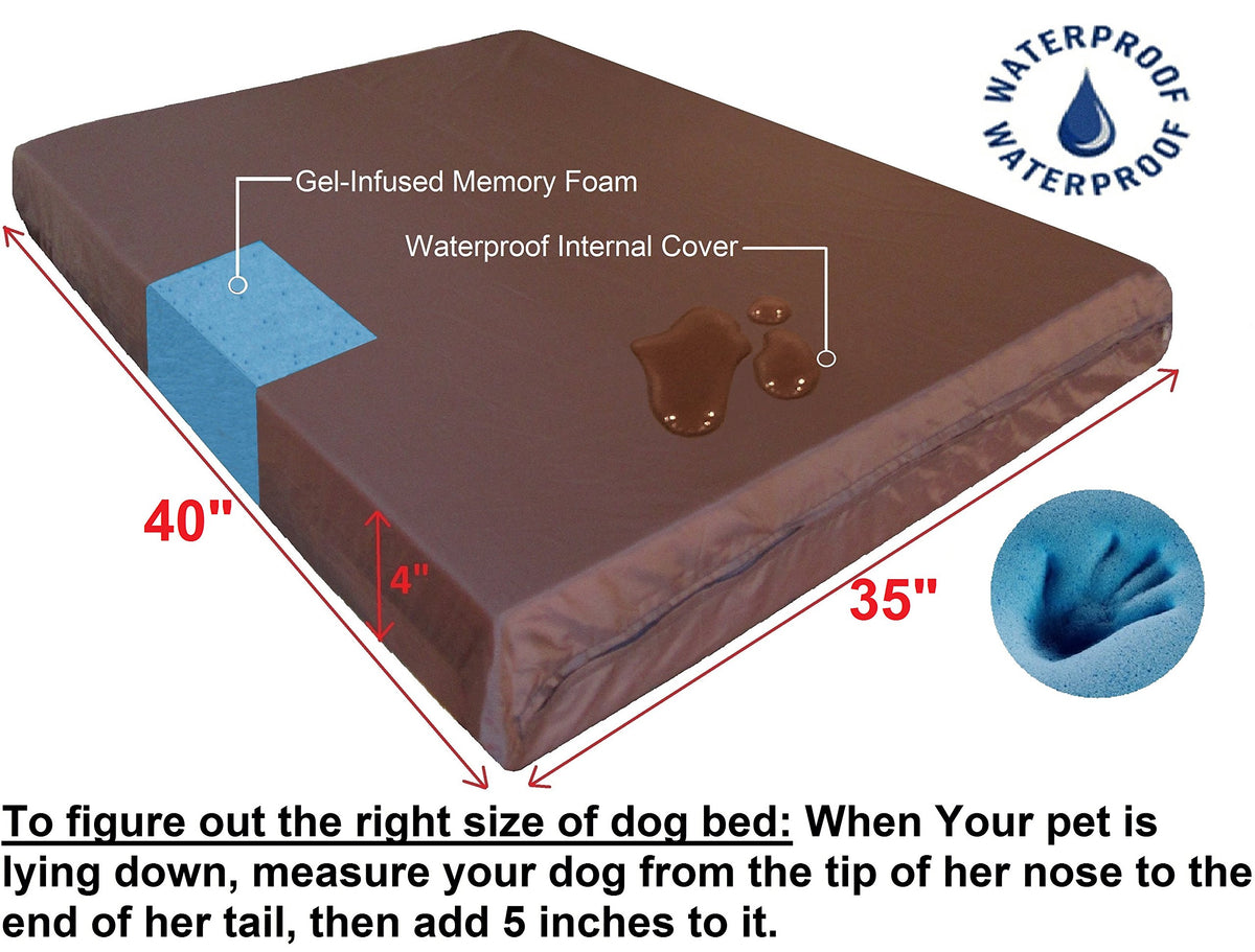 Extra Large True Orthopedic Gel Memory Foam Dog Bed (XL 40" Length X 35" Width / Canvas in Black)