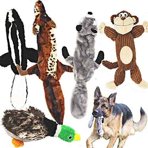 5 Pack Dog Squeaky Toys Three no Stuffing Toy and Two Plush with Stuffing for Small Medium Large Dog Pets (Plush and Stuffingless Combo)