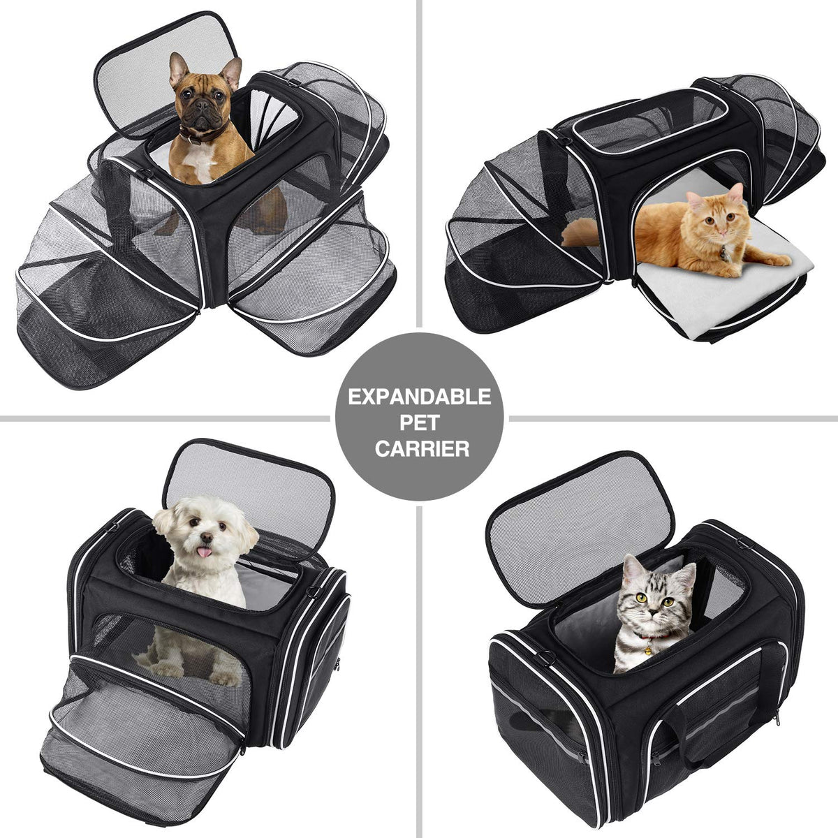 TSA Airline Approved Large Pet Travel Carrier