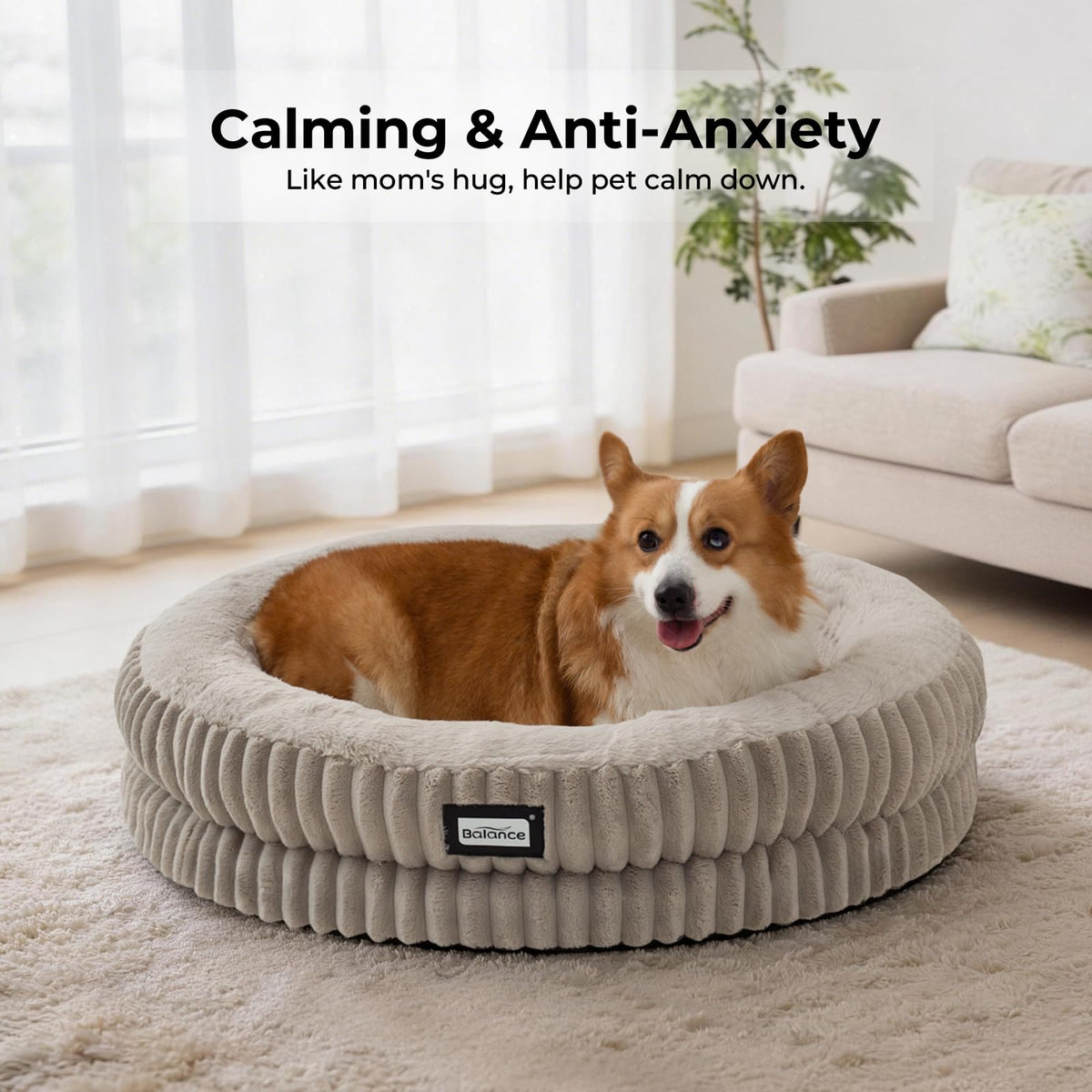 Donut Dog Bed (30.0"L x 30.0"W x 7.0"Th / Wind Chime)