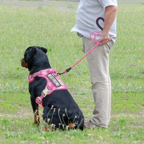 Tactical No Pull Dog Harness with Leash (Pink Camo / Large)