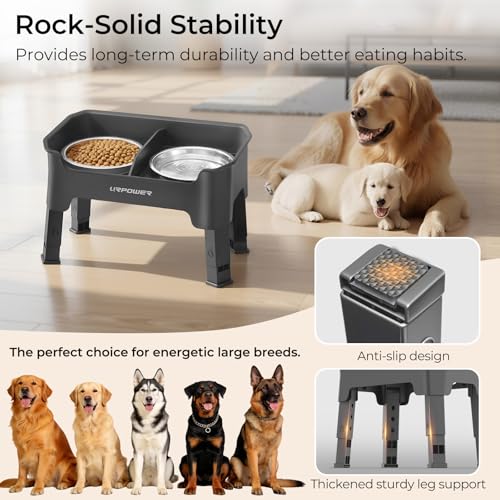 Mess Proof Elevated Dog Bowls (Grey / Medium)