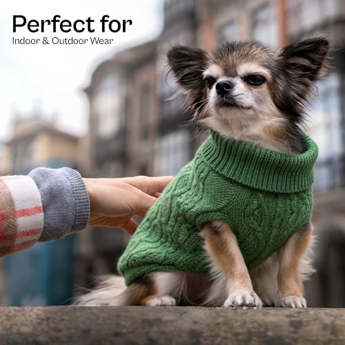 Warm Green Cable Knit Sweater for Dogs & Cats by Parisian Pet (S / Cable Knit Green)