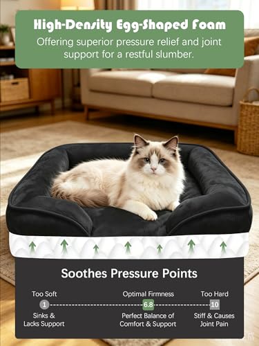 Orthopedic Dog Bed with Sides (24.0"L x 18.0"W x 6.0"Th / Black)