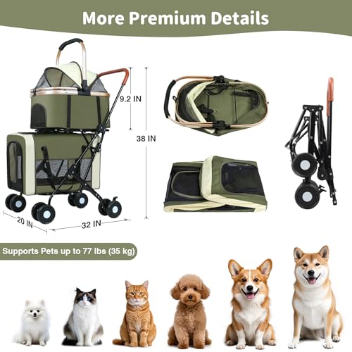 Double Pet Stroller (Green)