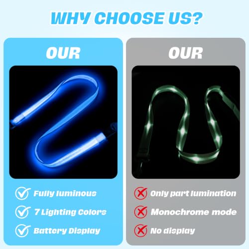 Light Up Dog Leash
