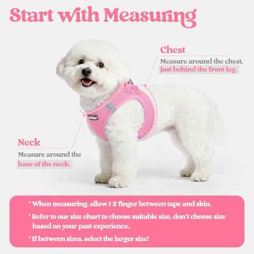 Dog Harness Small Sized and Leash Set (Light Pink / Xxxs (chest: 10.8 - 11.8"))