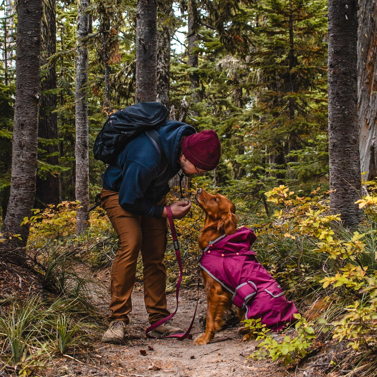 Dog Jacket Waterproof Raincoat with Breathable Interior (Large / Huckleberry)