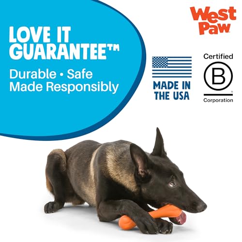 Zogoflex Hurley Dog Bone Chew Toy (X-Small / Aqua)