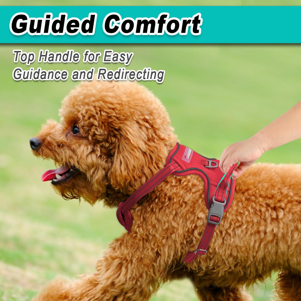 Dog Harness for Small Sized Dog No Pull Mesh 2 Clips Dog Vest (Red-Mesh / Small)