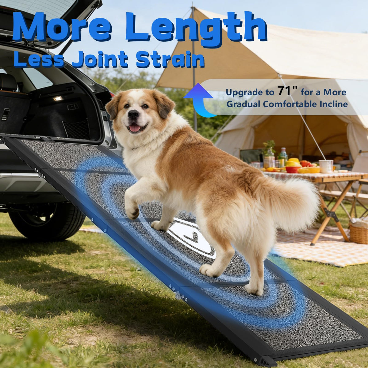 Dog Ramp for Car (71" L x 17" W)