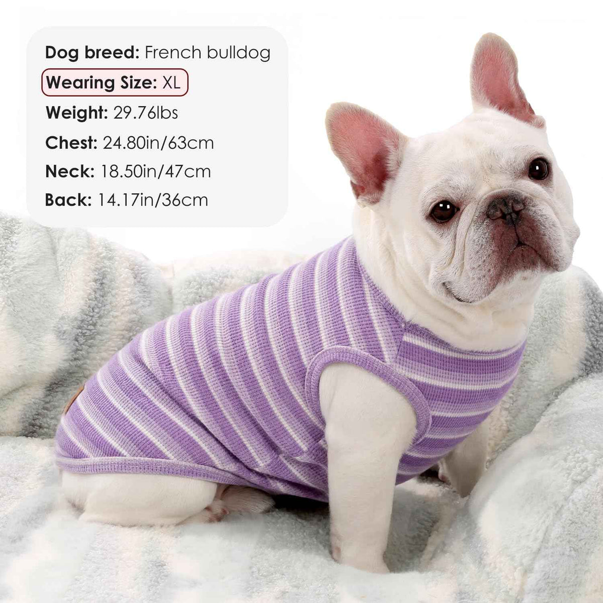 2Pack Dog Shirts Lightweight Waffle Dog Shirt for Small Dogs Sleeveless Dog Shirt for Small Medium Boy Girl Dogs Cozy & Breathable Pet Vest (M(Back: 13.8", Chest: 17.7", 8.8-13.2lbs) / Striped+Deep Purple)