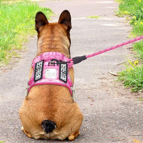 Tactical No Pull Dog Harness with Leash (Pink Camo / Medium)