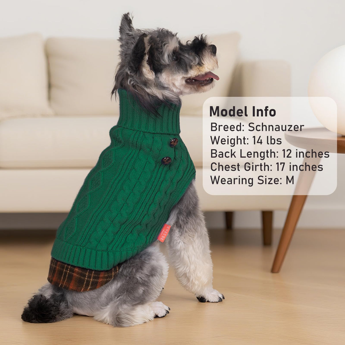 Dog Sweater for Small Medium Dogs Turtleneck Thick Knit Pullover (X-Large (19-27lbs) / 10# Green)