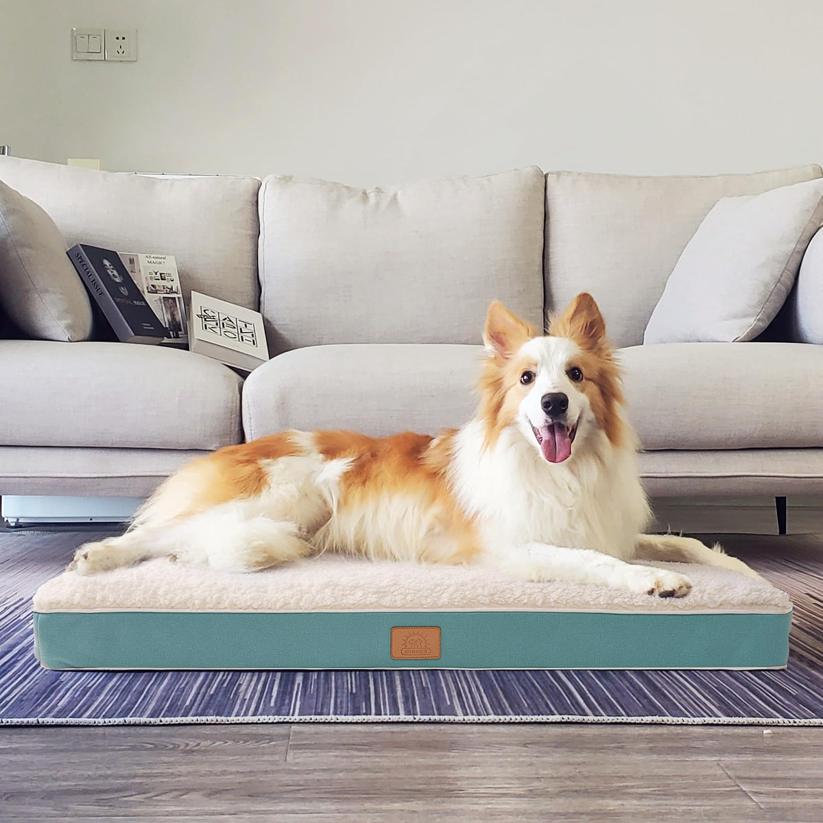 Washable Orthopedic Small Dog Bed (Blue / 24.0"L x 16.0"W x 3.0"Th)
