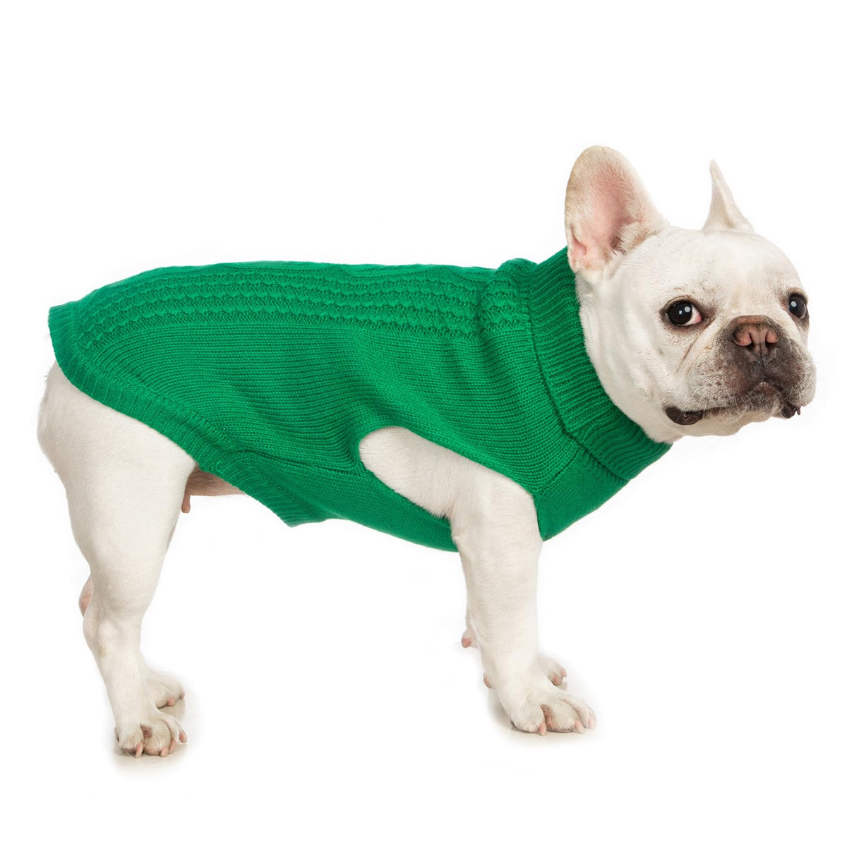 Cat Sweater Stretchy (Dark Green / XXL)