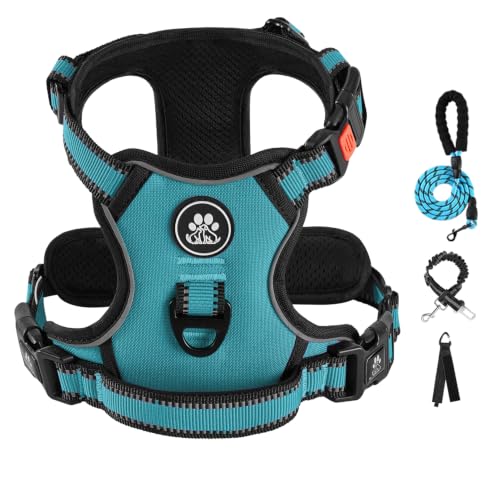 No Pull Dog Harness for Small Dogs (Peacock Blue / Small)