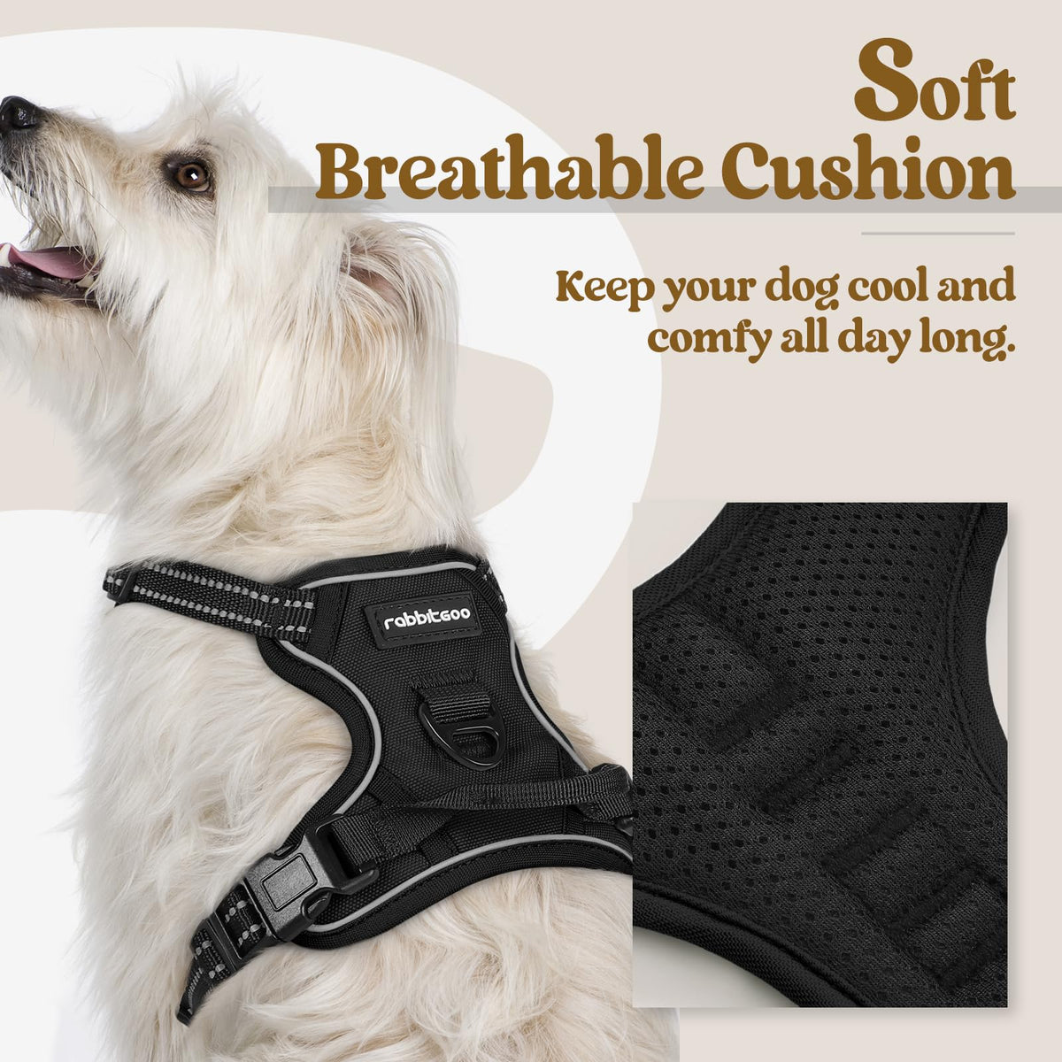 Dog Harness No Pull for Small Dogs with 2 Leash Clips (X-Small / Black)