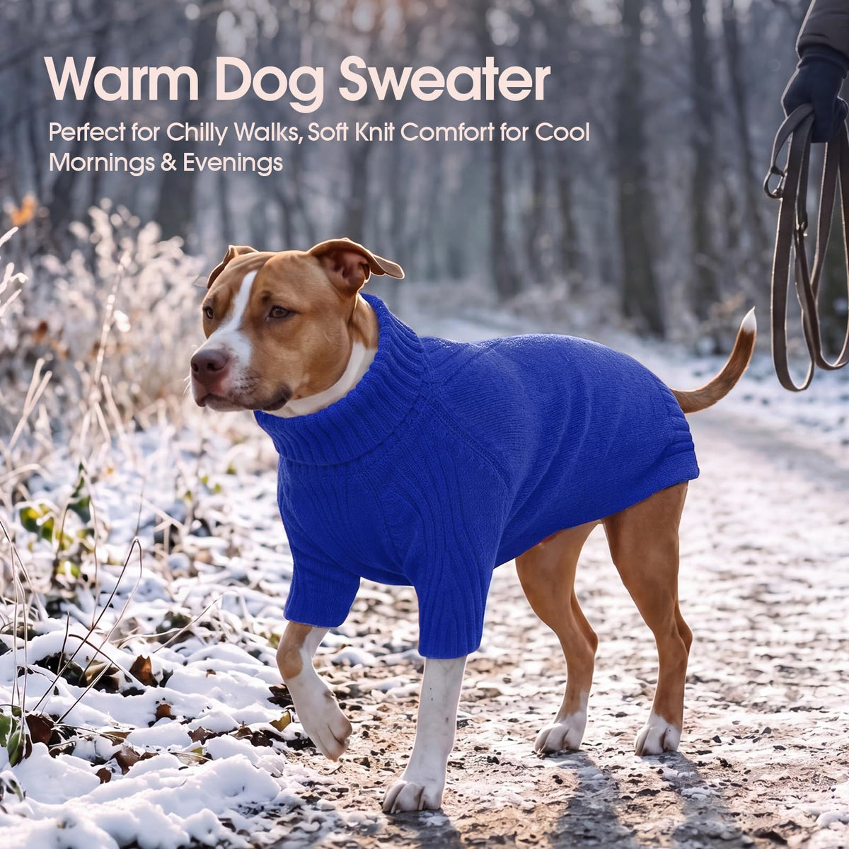 Turtleneck Dog Sweater (Sapphire Blue / Medium)