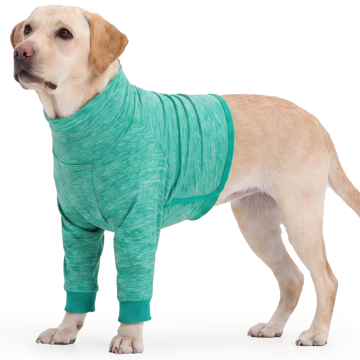 Long Sleeve Dog Shirt Pretect Pet's Front Leg Elbow Getting Calluses (XL / Green)