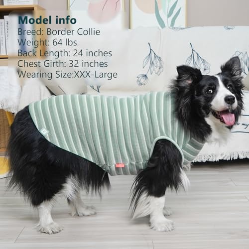 2Pack Waffle Dog Shirt for Medium Large Dogs Striped Dog Sweater (XX-Large (28-50lbs) / 2Pack(Green+Striped))