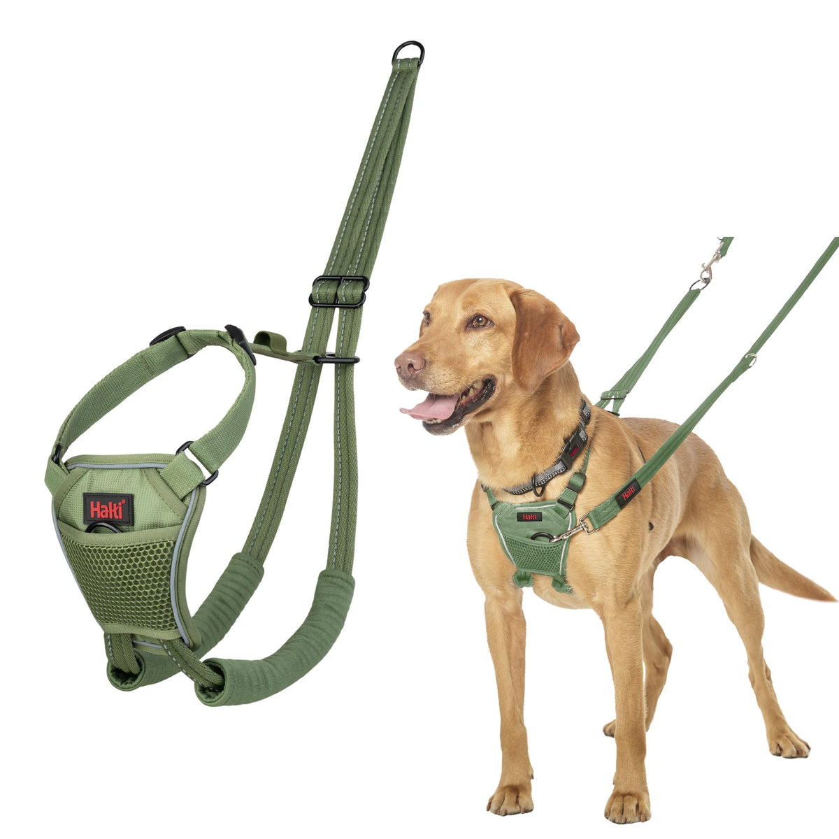 No Pull Dog Harness (Forest Green / M)