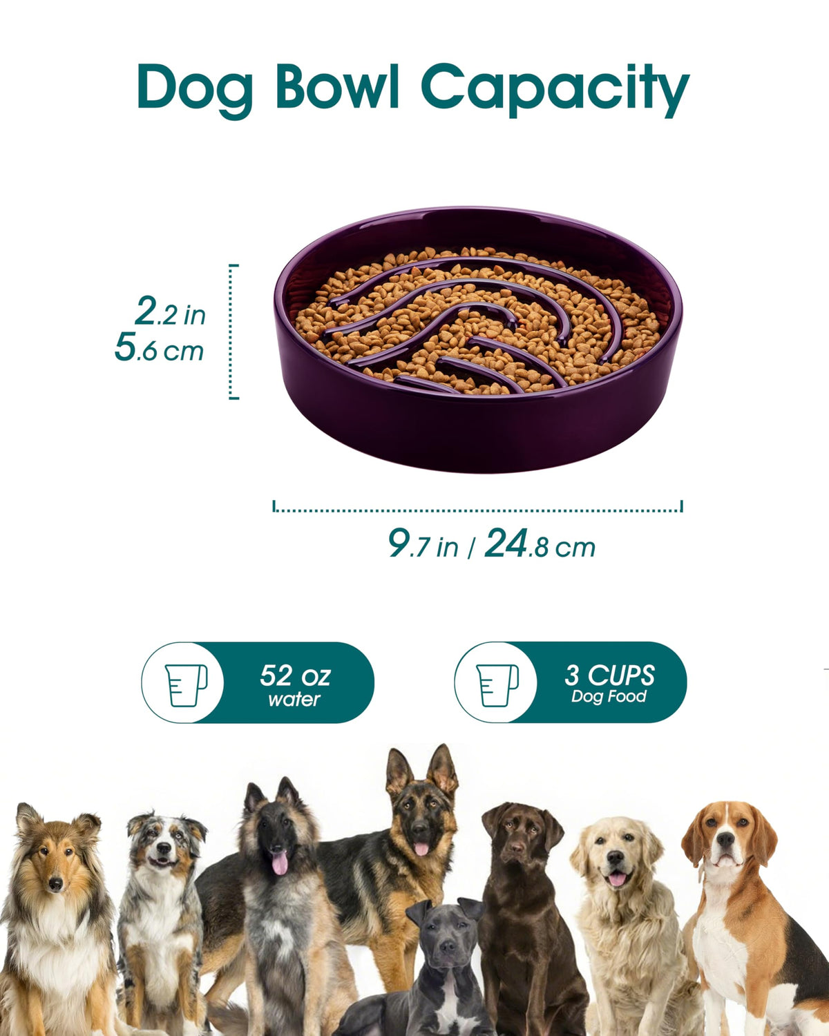 Slow Feeder Dog Bowl (Dark Purple / 3 Cups)