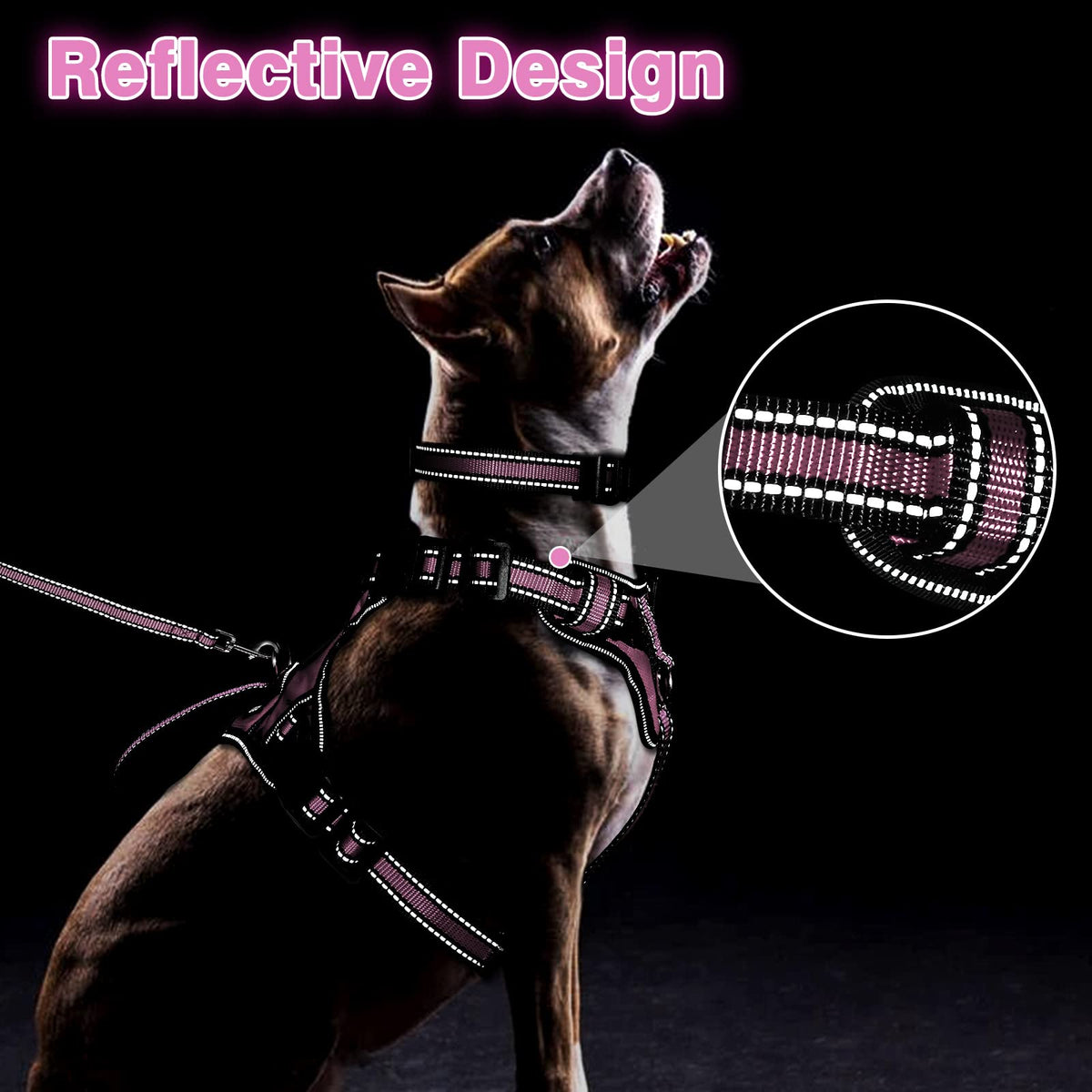 Pet Harness Collar and Leash Set (Small / Pink)