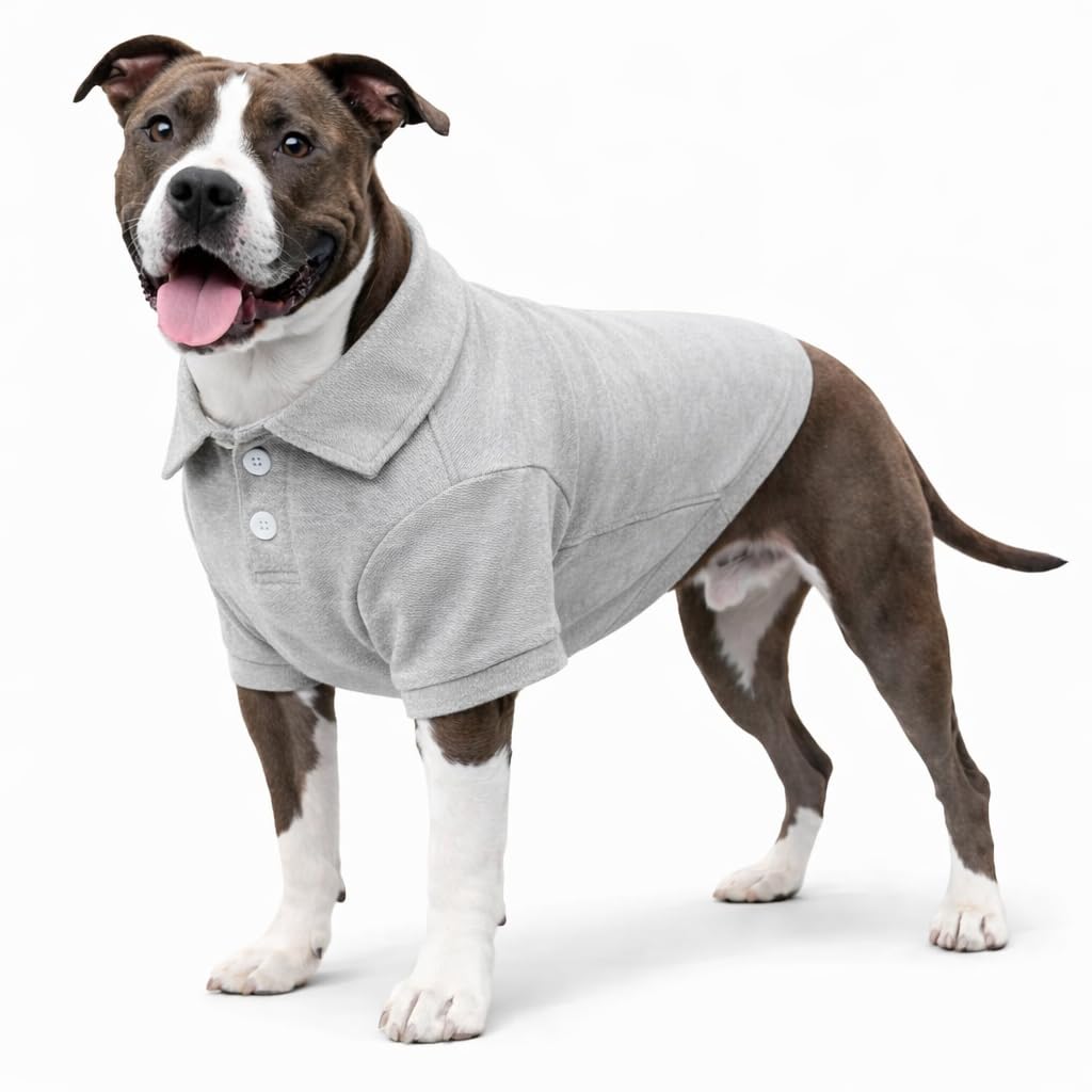 Basic Dog Polo Shirts Premium Cotton (XL (-35lbs) / Gray)